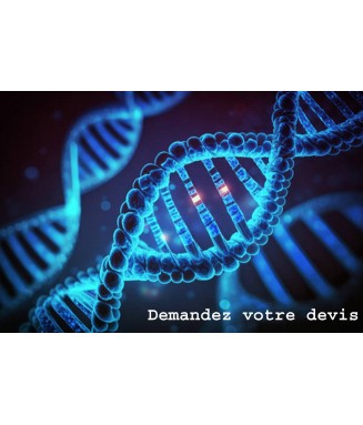 Synthèse de gène, ADN, clonage, vecteur gene synthesis