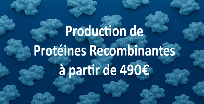 Production de protéines recombinantes.png