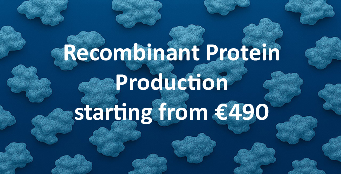 Production de protéines recombinantes.png