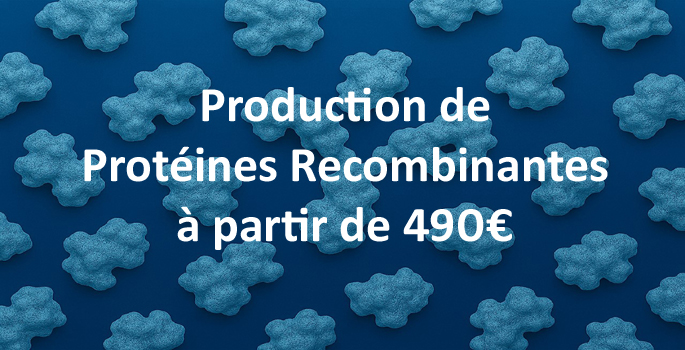 Production de protéines recombinantes.png