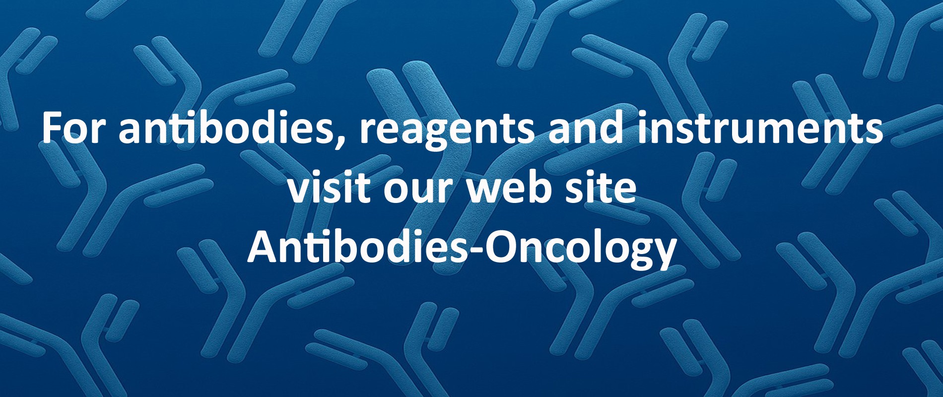 Antibodies-Oncology
