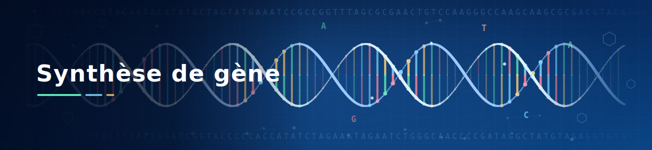 Synthèse de gène