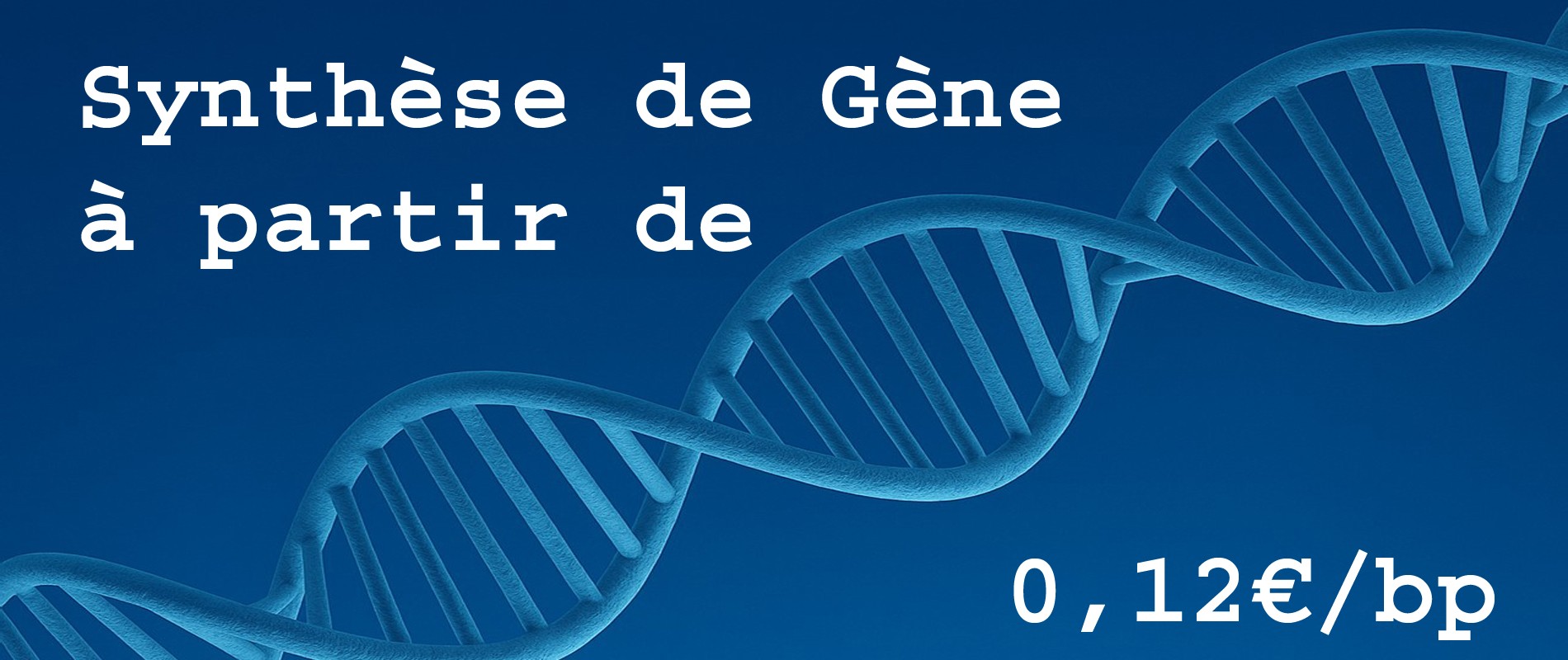 Synthèse de gène